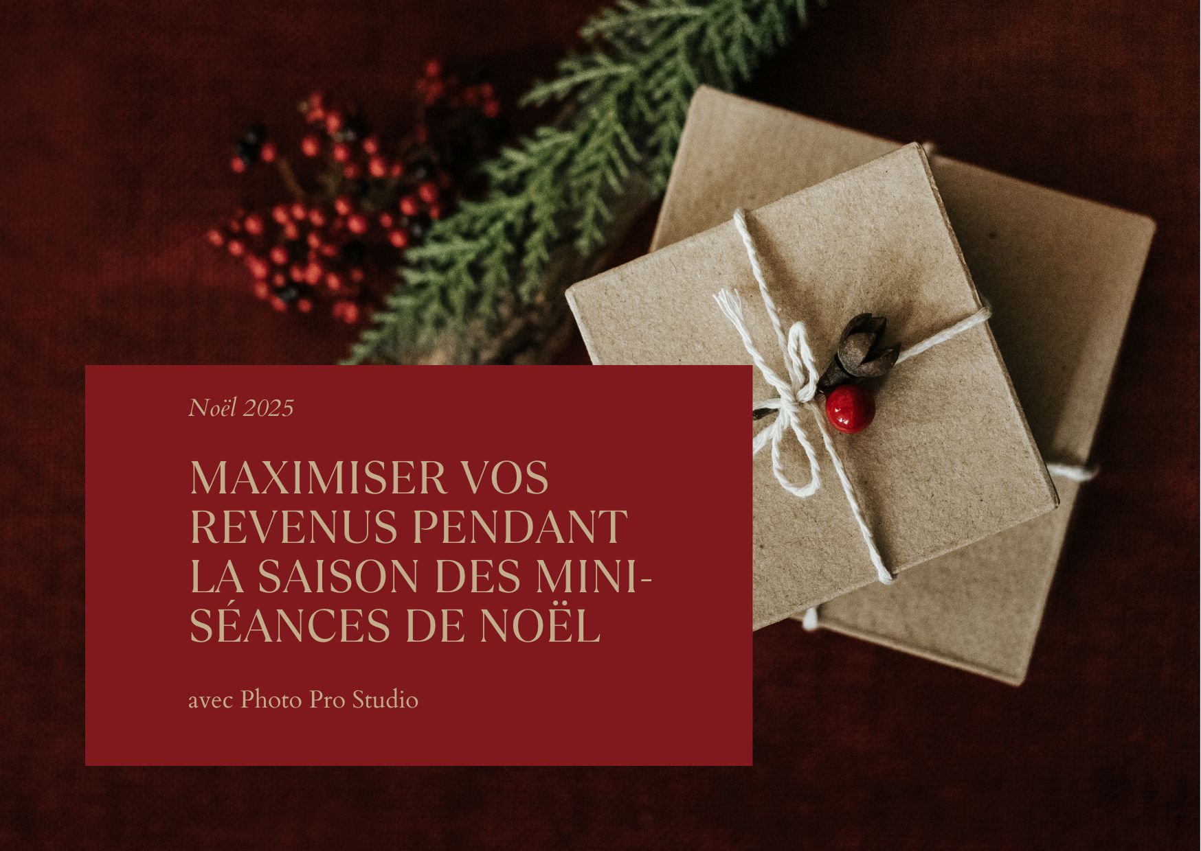 Maximiser vos Revenus pendant la Saison des Mini-Séances de Noël