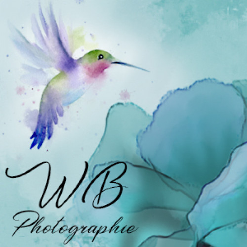 Wendy Bardon Photographie